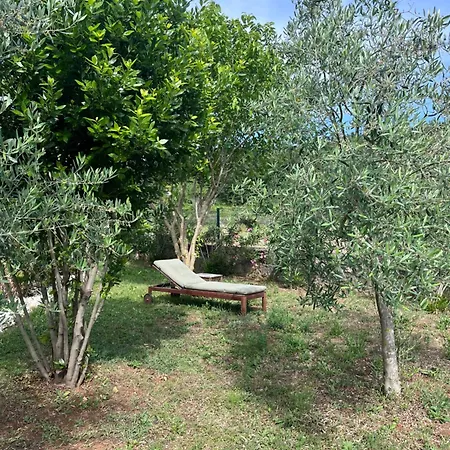 Fratelli * Ladici